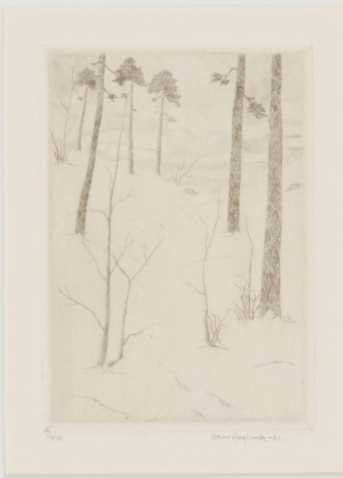 Skogsglänta
