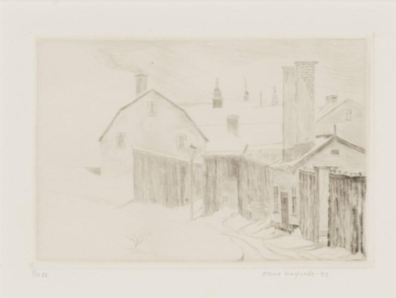 Vinter, Skinnarviken