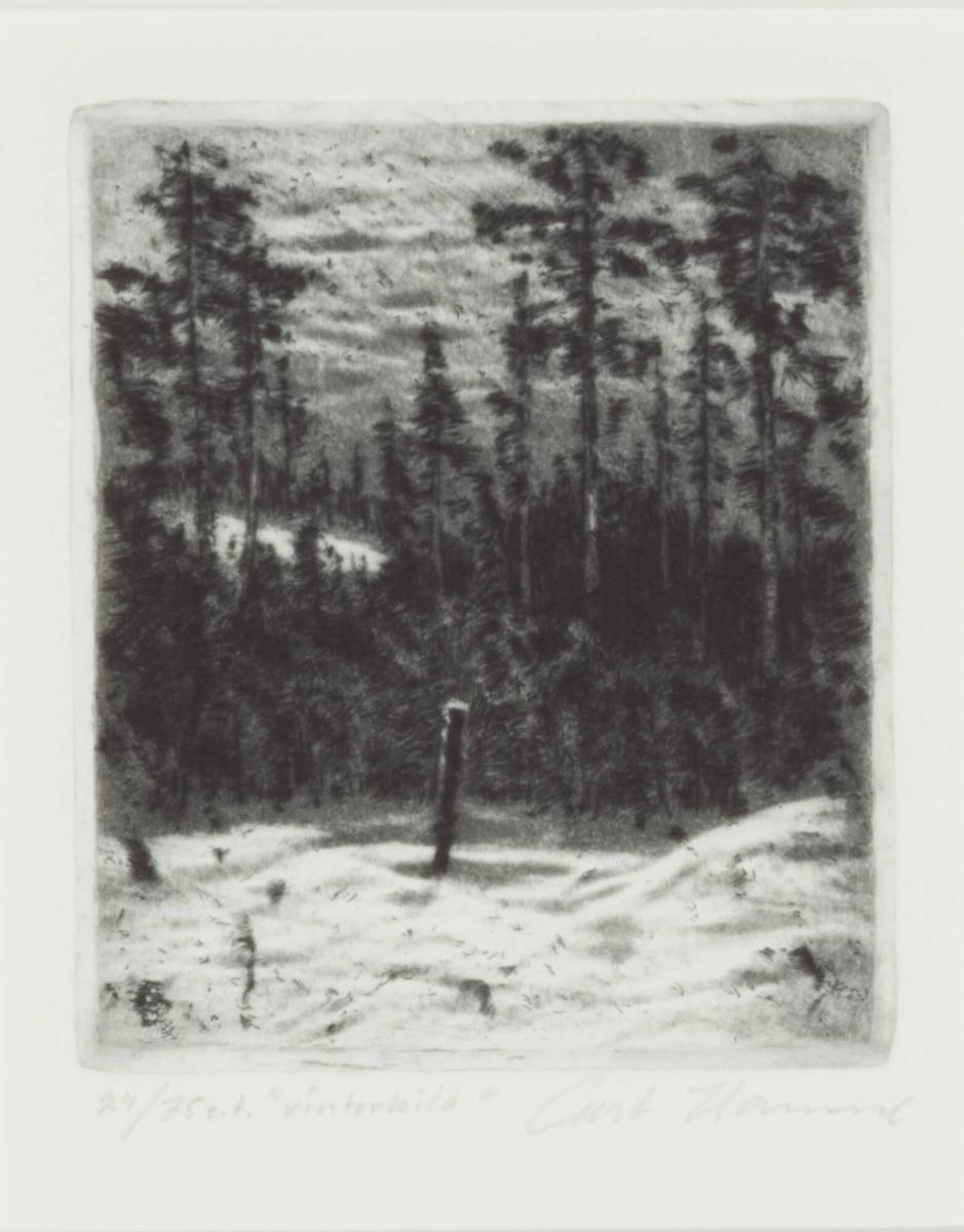 Vinterbild