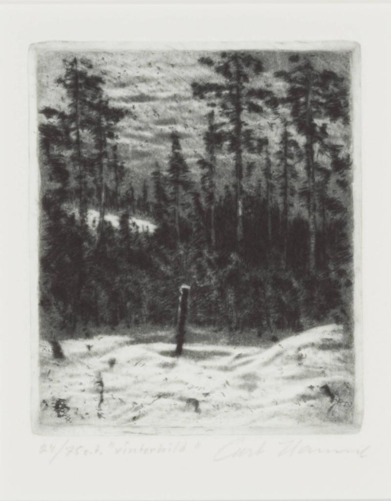 Vinterbild